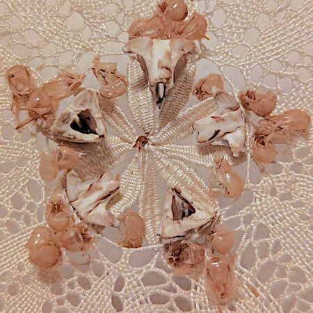 Άλκηστις Μαυροκεφάλου: Fivefold