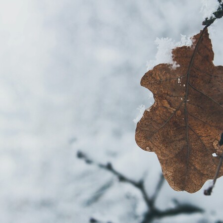 ΚΑΙΡΟΣ ΨΥΧΟΣ ΚΡΥΟ ΚΟΛΥΔΑΣ ΑΤΤΙΚΗ