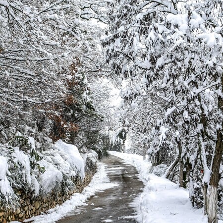 Καιρός: Ψύχος και χιονισμένα τοπία σε Θεσσαλία, Στερεά και Μακεδονία
