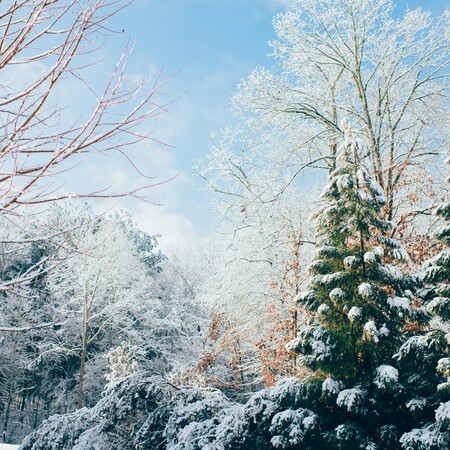 Καιρός: Βροχές, χιόνια και άνεμοι έως 10 μποφόρ αναμένονται σήμερα, Τρίτη 