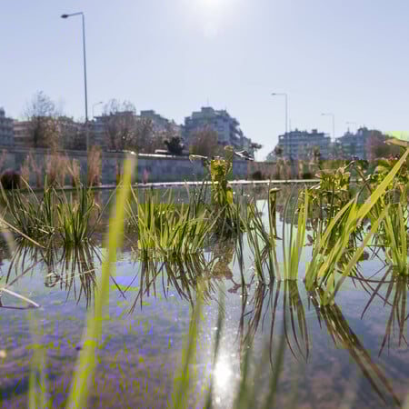 Παραδόθηκε ο αναπλασμένος Ιαπωνικός Κήπος του Νερού στη Νέα Παραλία Θεσσαλονίκης