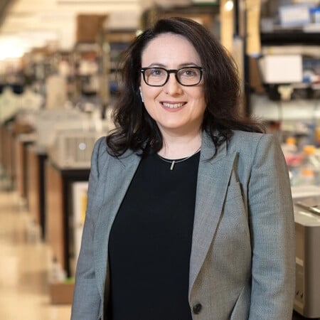 ΚΑΤΕΡΙΝΑ ΑΚΑΣΟΓΛΟΥ ΑΛΤΣΧΑΪΜΕΡ