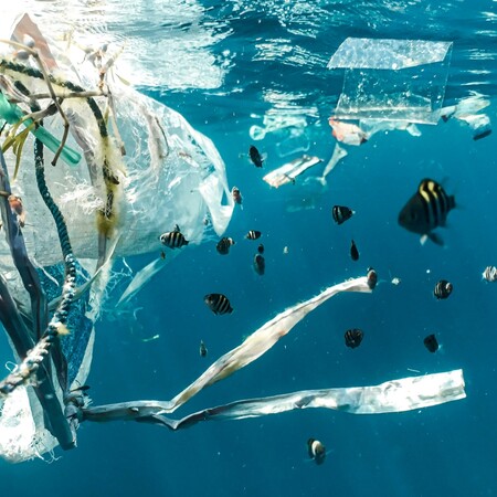 ΜΙΚΡΟΠΛΑΣΤΙΚΑ ΨΑΡΙΑ ΕΙΡΗΝΙΚΟΣ ΜΟΛΥΝΣΗ