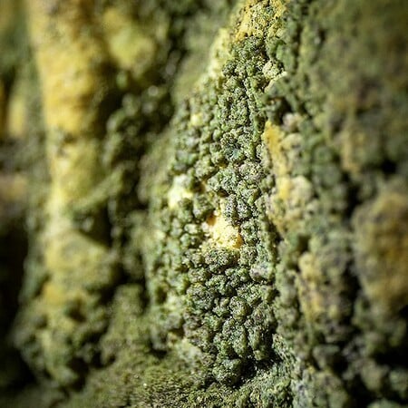 ΣΠΗΛΑΙΟ ΑΝΑΚΑΛΥΨΗ ΕΠΙΣΤΗΜΟΝΕΣ