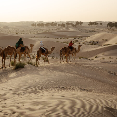 Σαουδική Αραβία: Γιατί οι καμήλες θα αποκτήσουν διαβατήρια