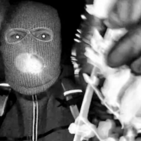 Savannah Guthrie: Οι Αρχές συνέλαβαν έναν άνδρα για την υπόθεση απαγωγής της μητέρας της