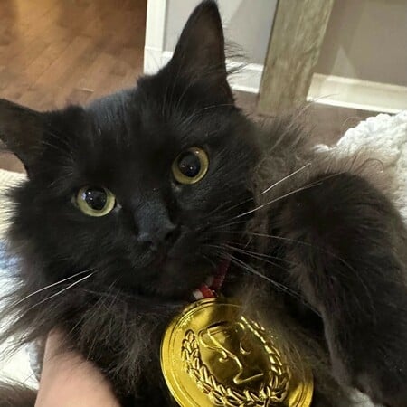 ΧΕΙΜΕΡΙΝΟΙ ΟΛΥΜΠΙΑΚΟΙ ΑΓΩΝΕΣ ΓΑΤΑ ΙΛΙΑ ΜΑΛΙΝΙΝ