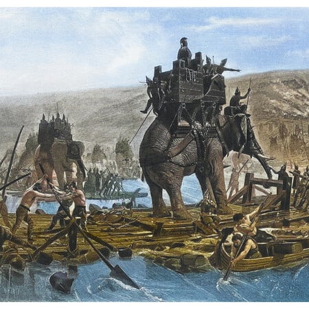 ΑΝΝΙΒΑΣ ΙΣΠΑΝΙΑ ΕΛΕΦΑΝΤΕΣ