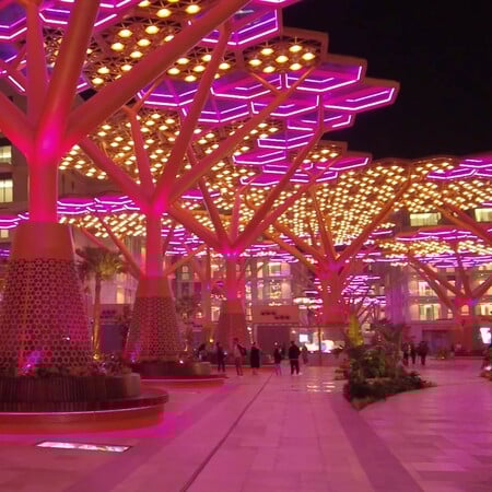 ΚΑΛΟΚΑΙΡΙ ΚΑΤΑΡ ΔΑΣΟΣ ΝΗΣΙ ΚΛΙΜΑΤΙΣΜΟΣ