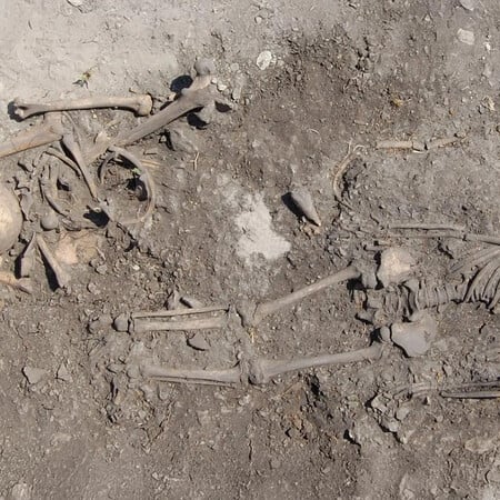 ΛΙΘΙΝΗ ΕΠΟΧΗ ΣΟΥΗΔΙΑ ΟΙΚΟΓΕΝΕΙΑ