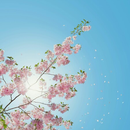 ΚΑΙΡΟΣ ΗΛΙΟΣ