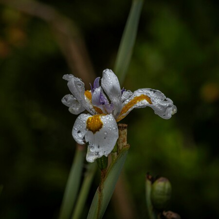 ΚΑΙΡΟΣ ΒΡΟΧΕΣ