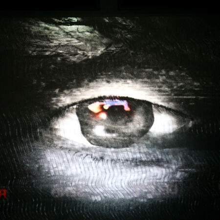 Η όραση ίσως ξεκίνησε από έναν «Κύκλωπα» πριν 560 εκατ. χρόνια, σύμφωνα με έρευνα