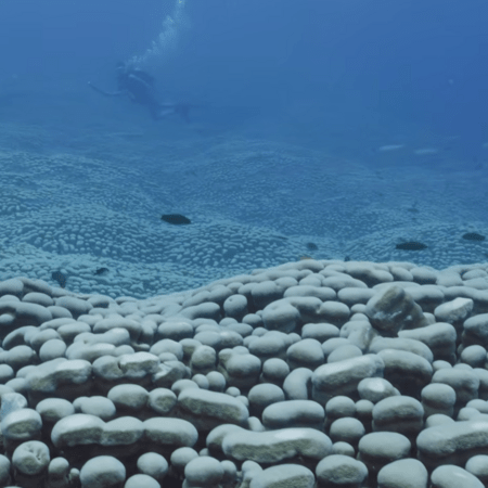 ΚΟΡΑΛΛΙ ΑΝΑΚΑΛΥΨΗ ΜΕΓΑΛΟΣ ΚΟΡΑΛΛΙΟΓΕΝΗΣ ΥΦΑΛΟΣ