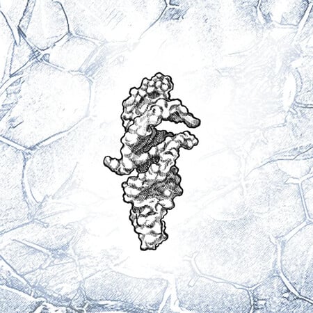 RNA DNA ΑΝΘΡΩΠΙΝΗ ΖΩΗ CAMBRIDGE