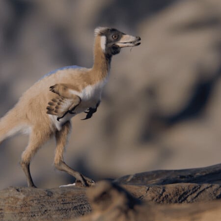 ΔΕΙΝΟΣΑΥΡΟΣ ΑΡΓΕΝΤΙΝΗ