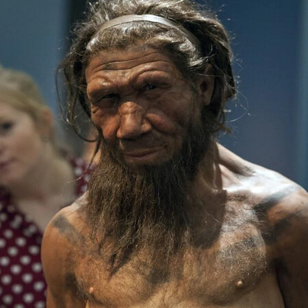 ΝΕΑΝΤΕΡΝΤΑΛ HOMO SAPIENS