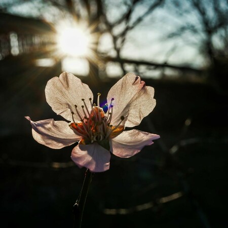 Καιρός - Κολυδάς: «Ο Μάρτιος δεν φαίνεται να επιβεβαιώνει τον χαρακτηρισμό του "γδάρτη"»