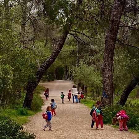 Παιδόκηπος Καρυδιά: Ένα ξεχωριστό νηπιαγωγείο που αγαπάνε παιδιά και γονείς 