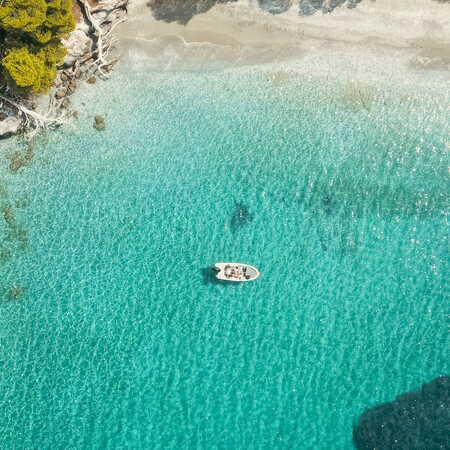 ΝΗΣΙ EN VOYAGE ΣΚΟΠΕΛΟΣ