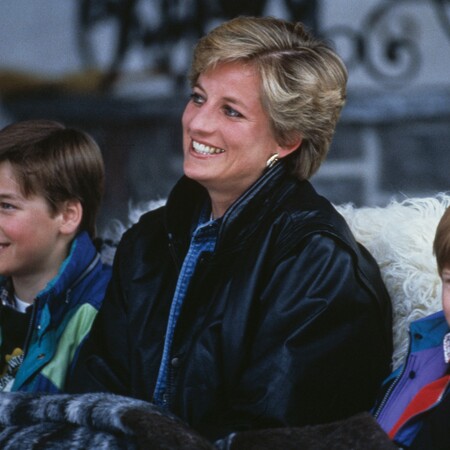 Πριγκίπισσα Νταϊάνα, Χάρι, Ουίλιαμ