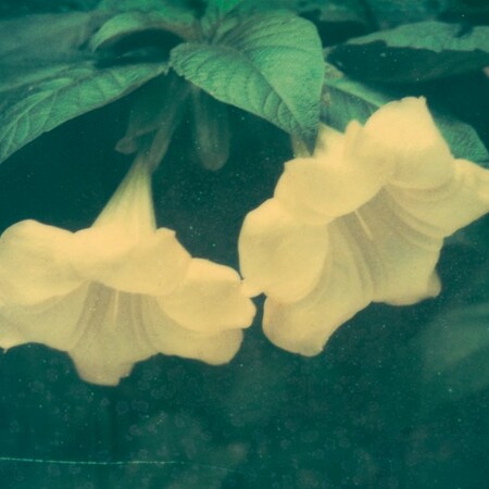 Ελισάβετ Μωράκη It’s Always the Sun 