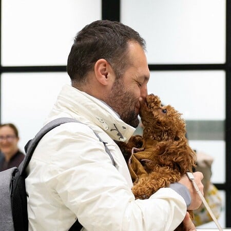 Τα κατοικίδια που μένουν πίσω όταν οι άνθρωποι φεύγουν από τη Μέση Ανατολή