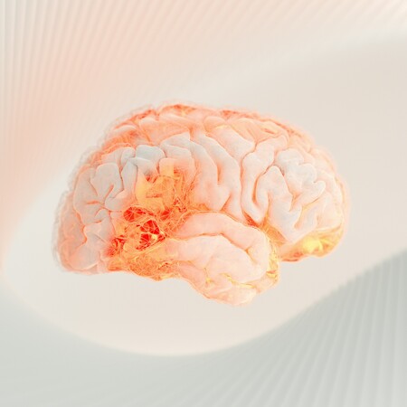 ΚΙΝΑ ΕΓΚΕΦΑΛΟΣ ΕΜΦΥΤΕΥΜΑ