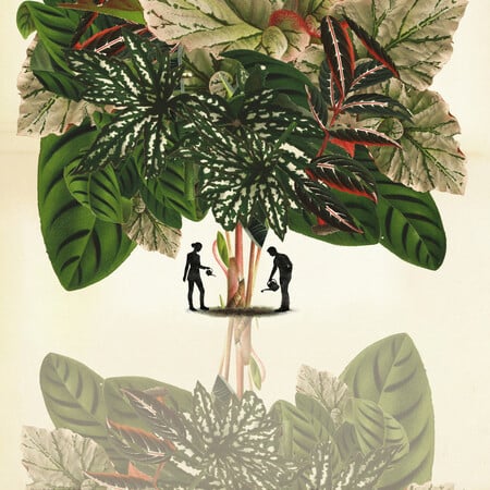 Φτιάξαμε ινσταγκραμικούς κήπους. Ξοδέψαμε περιουσίες. Τώρα μαράθηκαν όλα.