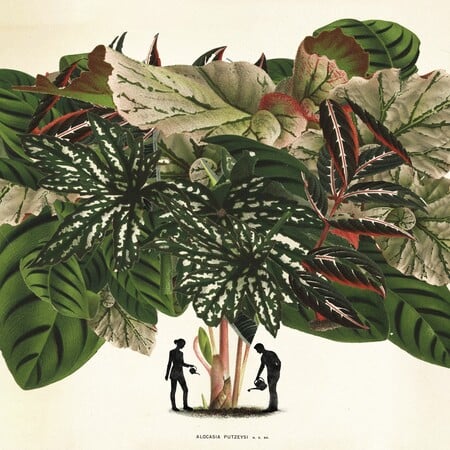 Φτιάξαμε ινσταγκραμικούς κήπους. Ξοδέψαμε περιουσίες. Τώρα μαράθηκαν όλα.