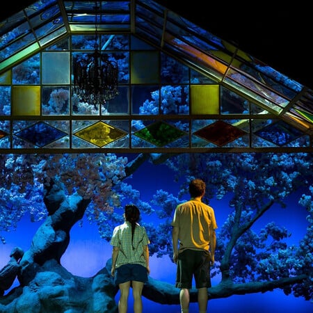 «Βυσσινόκηπος» στο Εθνικό με νέα, φρέσκια ματιά 