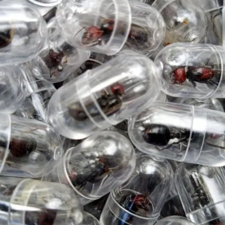 ΚΕΝΥΑ ΜΥΡΜΗΓΚΙΑ ΛΑΘΡΕΜΠΟΡΙΟ