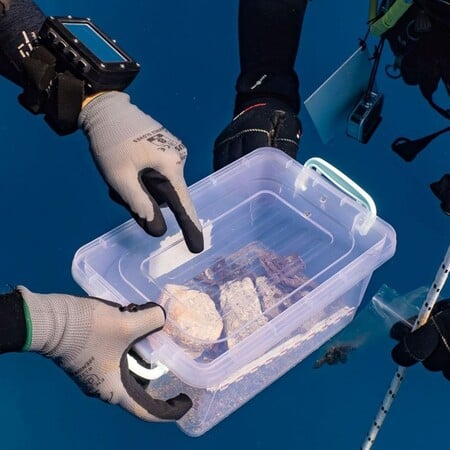 ΝΑΥΑΓΙΟ ΜΕΝΤΩΡ ΑΝΑΣΚΑΦΗ ΓΛΥΠΤΟ ΔΙΑΚΟΣΜΟ ΠΑΡΘΕΝΩΝΑ