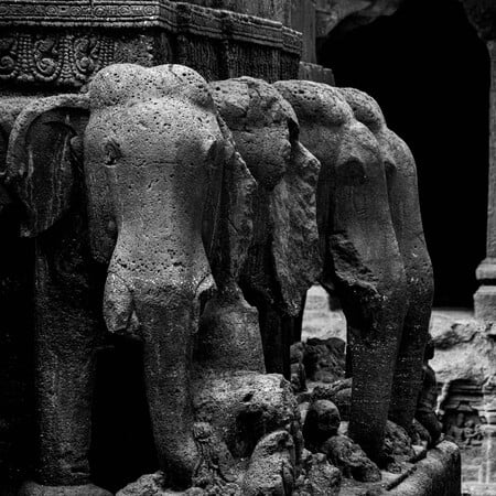 ΝΕΑΝΤΕΡΝΤΑΛ ΕΛΕΦΑΝΤΕΣ ΚΥΝΗΓΙ ΕΡΕΥΝΑ