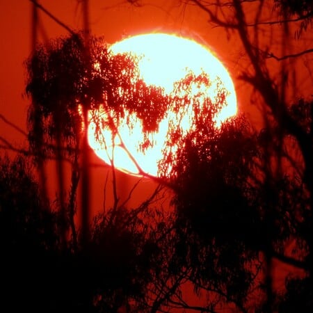 ΚΛΙΜΑΤΙΚΗ ΚΡΙΣΗ ΖΕΣΤΗ ΠΑΓΕΤΩΝΕΣ