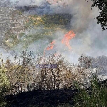 ΦΩΤΙΑ ΚΕΦΑΛΟΝΙΑ 