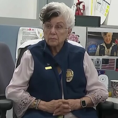 ΜΠΡΟΥΣ ΓΟΥΙΛΙΣ ΜΗΤΕΡΑ ΕΘΕΛΟΝΤΙΣΜΟΣ ΑΣΤΥΝΟΜΙΑ ΛΟΣ ΑΝΤΖΕΛΕΣ