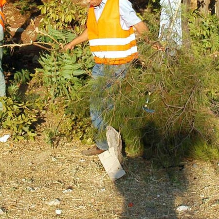 ΑΚΑΘΑΡΙΣΤΑ ΟΙΚΟΠΕΔΑ 2026 ΑΙΤΗΣΕΙΣ