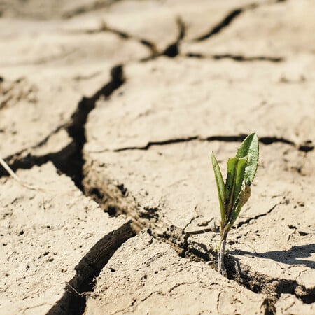 ΠΟΥ και Lancet προειδοποιούν ότι η κλιματική κρίση στοιχίζει 10 εκατ. ζωές ετησίως 