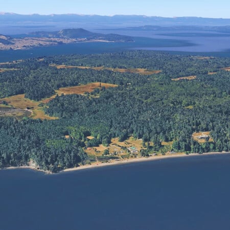 ΝΕΚΡΑ ΣΚΥΛΙΑ ΣΙΑΤΛ ΗΠΑ