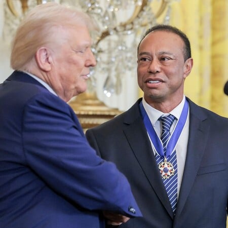 ΝΤΟΝΑΛΝΤ ΤΡΑΜΠ ΤΑΙΓΚΕΡ ΓΟΥΝΤΣ