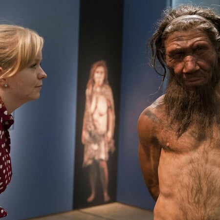 ΝΕΆΤΕΡΝΤΑΛ ΤΡΑΥΜΑΤΑ ΚΟΛΛΑ