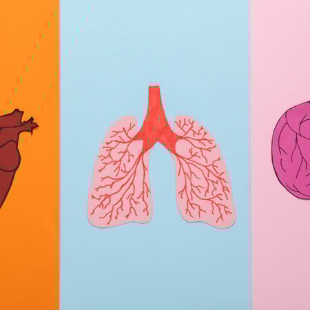 Καρδιοπνευμονικό ταξίδι φροντίδας, με την καρδιά και τον πνεύμονα να μιλούν την ίδια γλώσσα στη ΧΑΠ