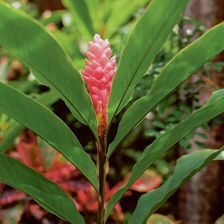 Η βία που γεννά η ομορφιά Ή Φρίκη στον Παράδεισο