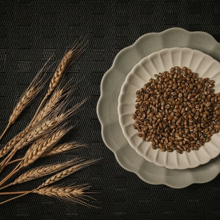 ΑΡΧΑΙΑ ΔΗΜΗΤΡΙΑΚΑ ΔΙΑΤΡΟΦΗ ΜΟΔΑ