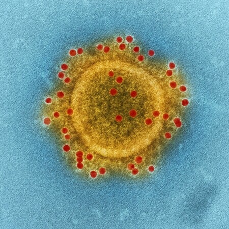 ΚΑΡΚΙΝΟΣ ΑΝΟΣΟΘΕΡΑΠΕΙΑ