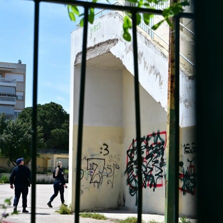 ΧΑΙΔΑΡΙ ΠΤΩΣΗ 13ΧΡΟΝΗ ΜΑΘΗΤΡΙΑ ΣΧΟΛΕΙΟ