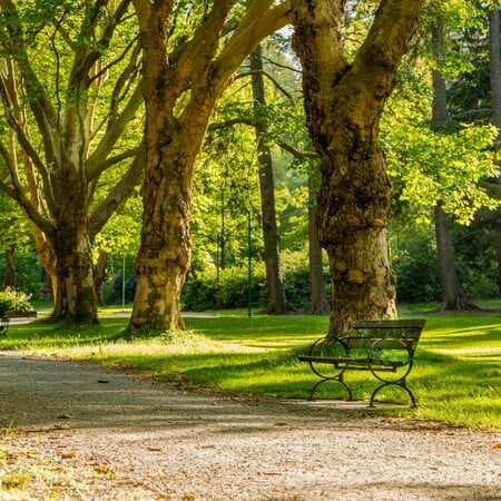 ΗΠΑ ΠΥΡΟΒΟΛΙΣΜΟΙ ΠΑΡΚΟ ΝΕΚΡΟΙ