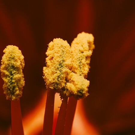 ΓΥΡΗ ΑΛΛΕΡΓΙΕΣ ΚΛΙΜΑΤΙΚΗ ΑΛΛΑΓΗ