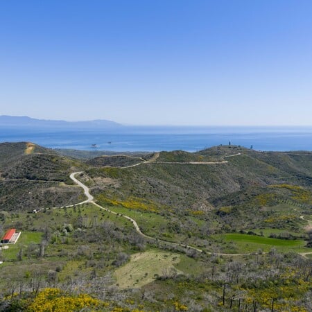 2.000 δέντρα για τη Γη: ΒΙΚΟΣ και we4all δίνουν ξανά ζωή σε Χίο και Βόρεια Εύβοια